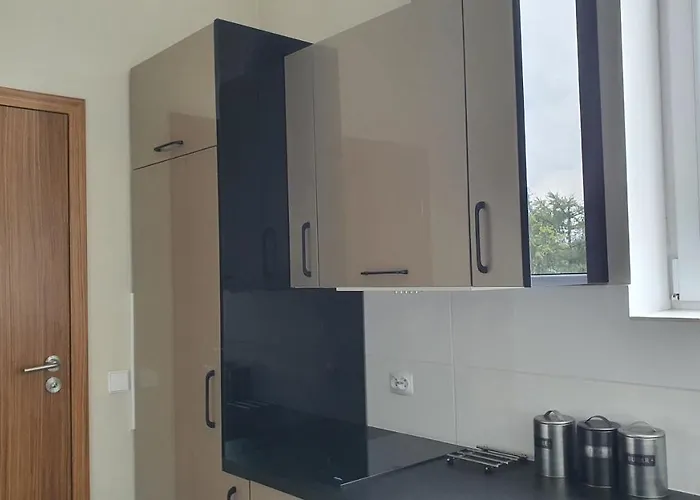 Slask 아파트 자브제